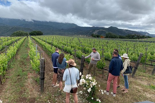 Tour image 5