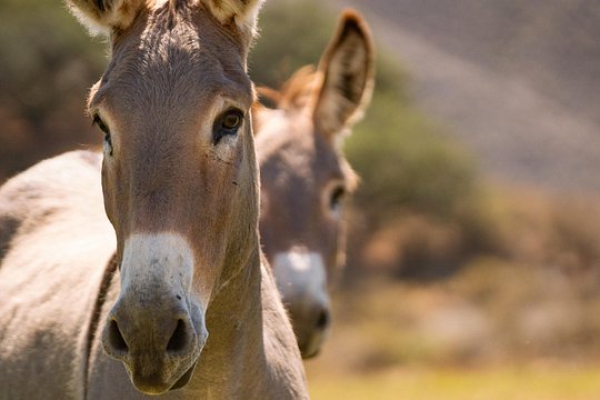 Tour image 11